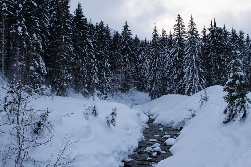 Rivier aan het bos par Jeroen Meeuwsen