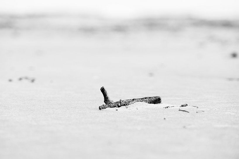 simple  by Nienke Stegeman