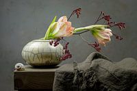 Stillleben Amaryllis