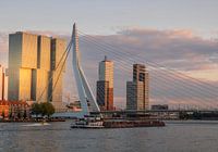 Rotterdam