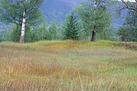 Different Colors, Wells Grey Parc Canada