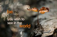 Quote: Be the change you wish to see in the world