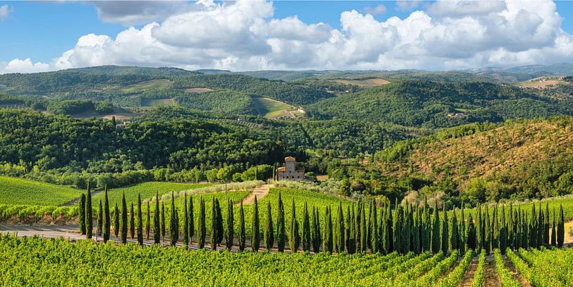 Allée de cyprès en Toscane par Markus Lange