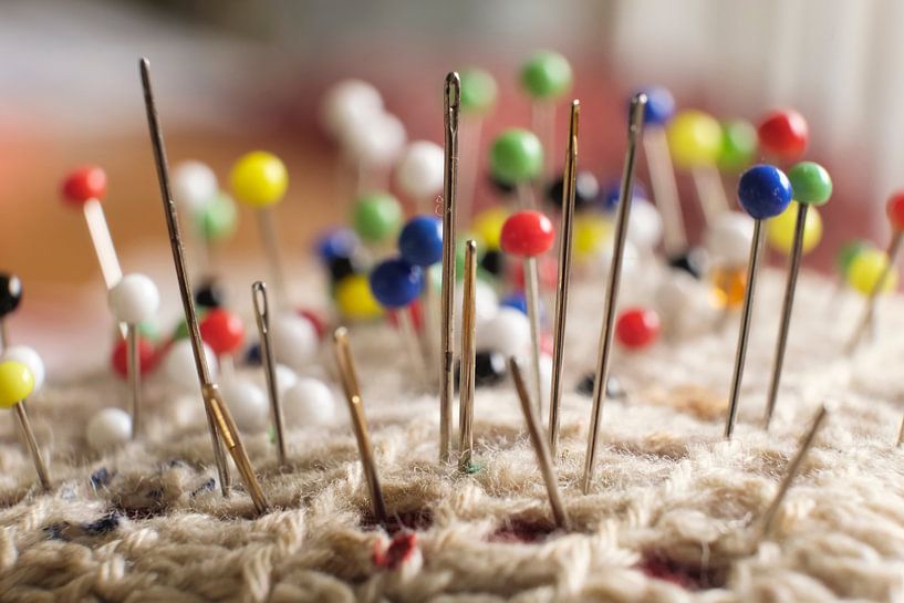 Coussin à épingles par Arno Prijs