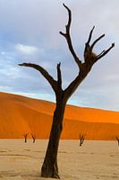 Deadvlei