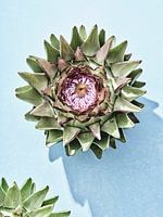 Blumen auf blau I Artischocke