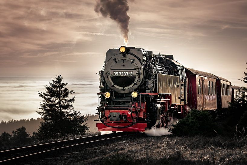 Einfahrt zum Brockenbahnhof von Steffen Henze