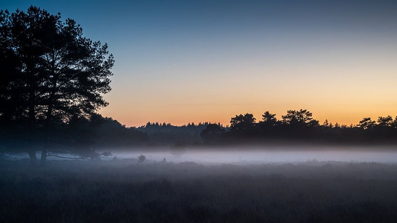 Nebel bei Sonnenuntergang von Erwin Pilon