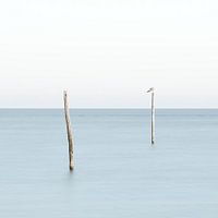 Haufen von Fischernetzen im IJsselmeer (Meereslandschaft)