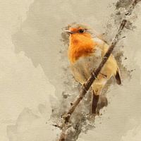 Robin on a branch