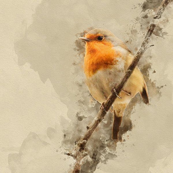 Robin on a branch by Art by Jeronimo