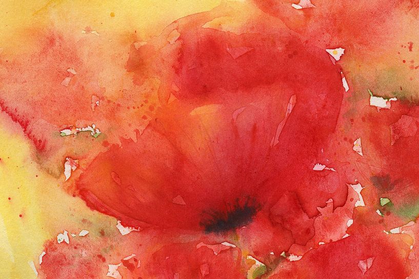Poppy blossom by Karen Kaspar