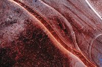 Résumé de Nature #6