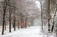Winterlandschaft in den Niederlanden auf dem Utrechter Höhenrücken