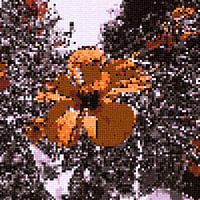 Flower. Cross Stitch.