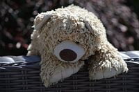 Eisbär knuddeliger Teddybär Kinder