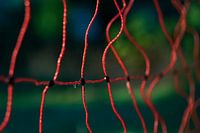 Clôture de pâturage dans la lumière du matin