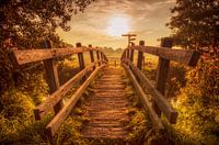 Sunrise near Mechelen (South Limburg)