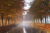 Foggy morning in Odoornerveen (Drenthe)