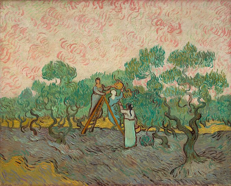 Frauen Kommissionierung Oliven, Vincent van Gogh von Meisterhafte Meister