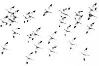 Kluten in bird's-eye view