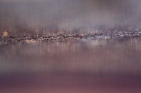 unbekannte Entfernungen