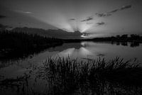 The Everglades zonsopkomst in zwart wit