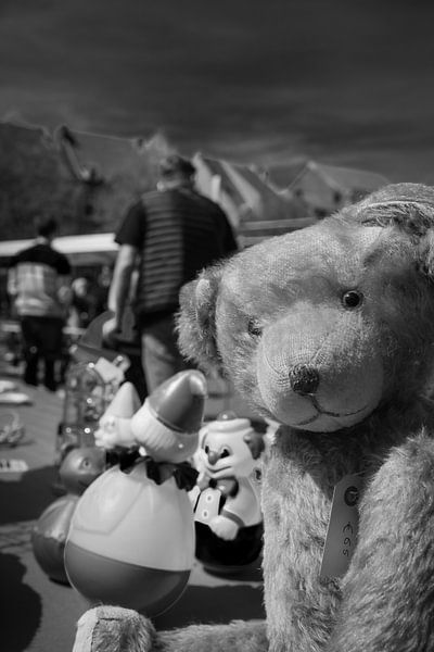 Hallo von Tom Van den Bossche