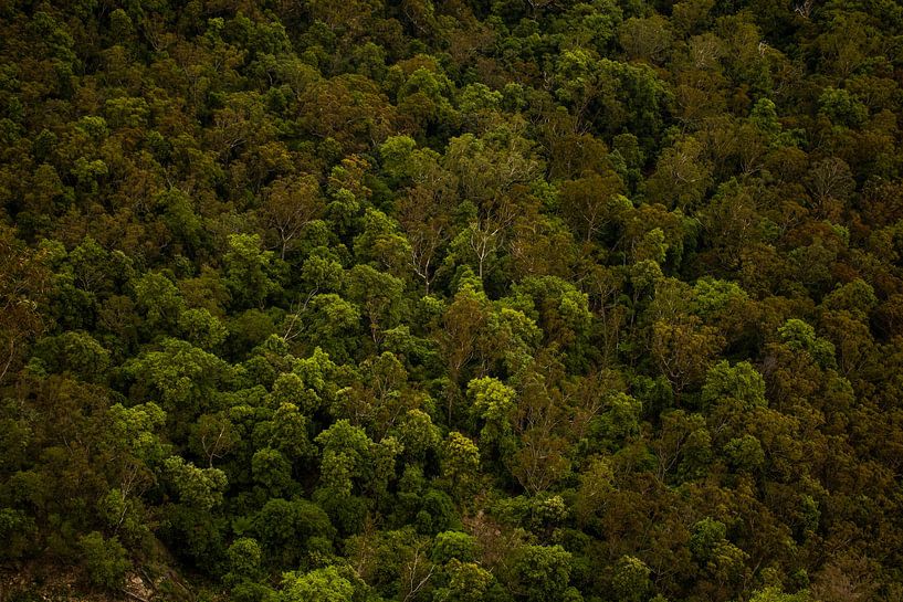 Montagnes bleues par ellen