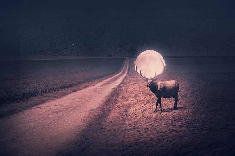 Cerf majestueux avec lune rouge dans les bois - Manipulation de photos mystiques Artwork par Elianne van Turennout