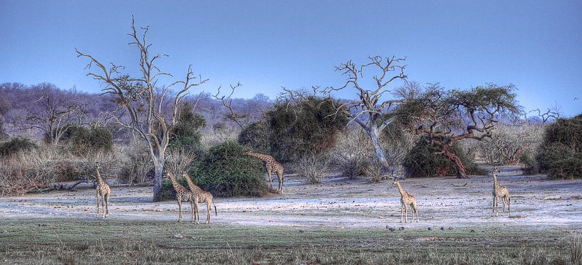 Nice Spots by BL Photography