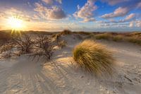 Zonsondergang in Westduinpark nabij Kijkduin en ScheveningenDen Haag