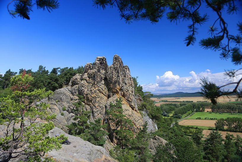 Hamburg coat of arms part of the Devil's Wall near Blankenburg by Karina Gebert