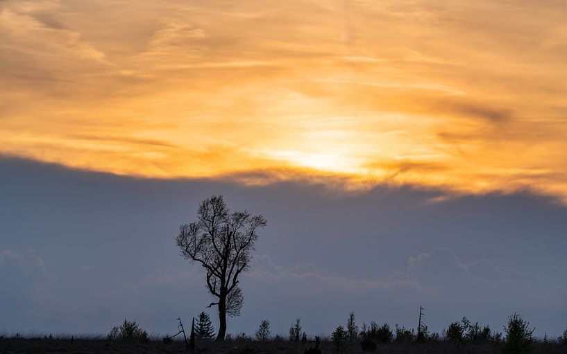 Hohes Venn, Belgien von Alexander Ludwig