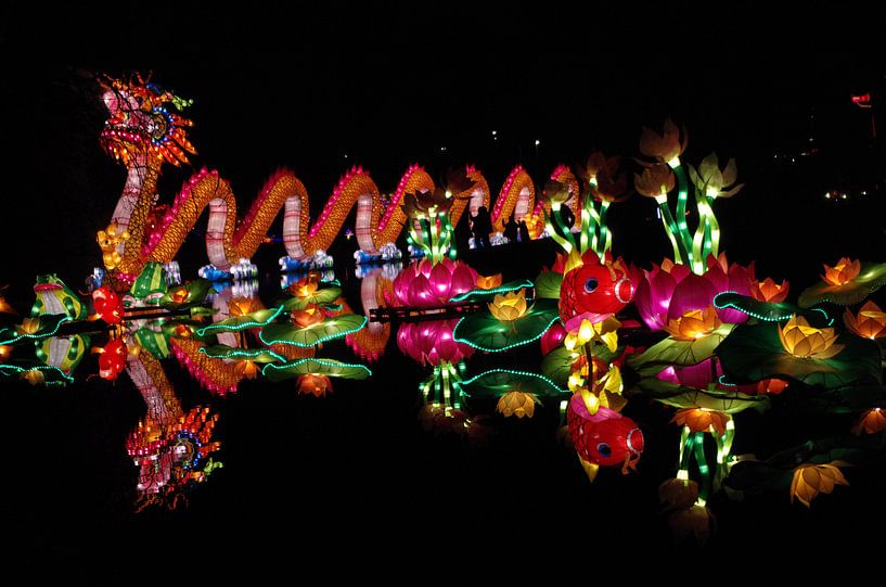 Dragon light by Jan Pott