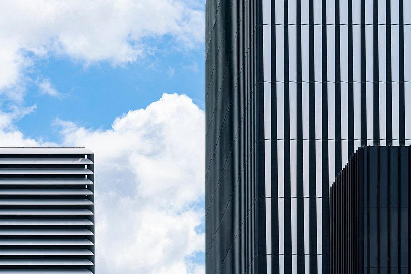 New Amsterdam by Bart Vos