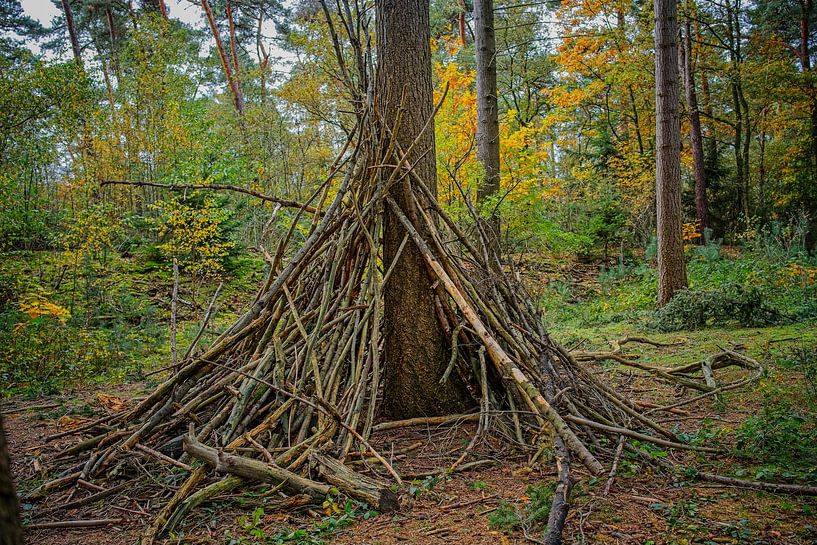 Autumn colours of the Black Water by Jos Saris