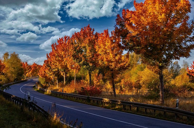 Morning trip into the autumn holidays by Holger Felix