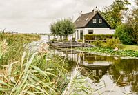 Die Sweetwater-Sammlung | Lytse Marren