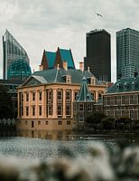 The Hague | The Mauritshuis
