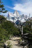 Road to Fitz Roy