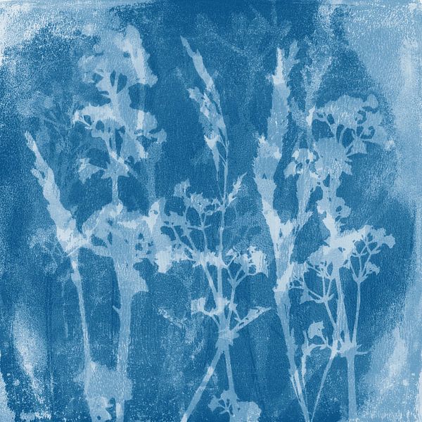 Fleurs bleues. Rêves de prairie. Illustration botanique de style rétro en blanc et bleu. par Dina Dankers