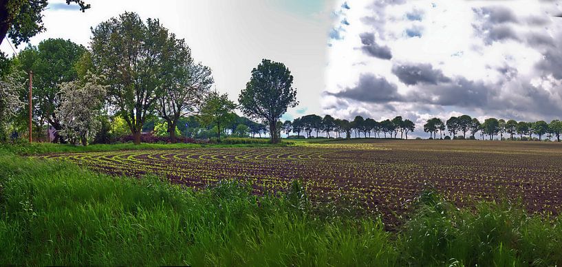 Vierhöfewegpanorama 1 von Edgar Schermaul