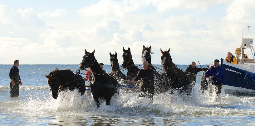 Rettungsboot für Pferde von Rinnie Wijnstra (FotoAmeland )