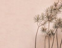 Beauté naturelle et design serein