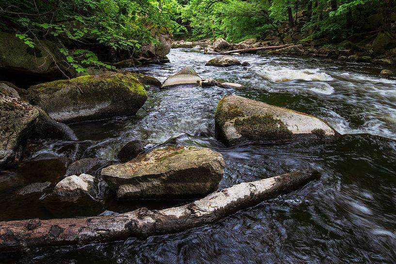 Landschaft im Bodetal im Harz. von Rico Ködder
