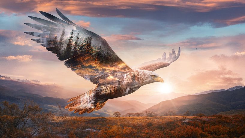 Der Flug des Adlers - Natur und Freiheit von Arjen Roos