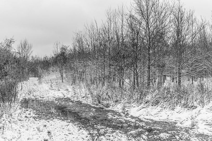 Schneelandschaft von Stefaan Tanghe