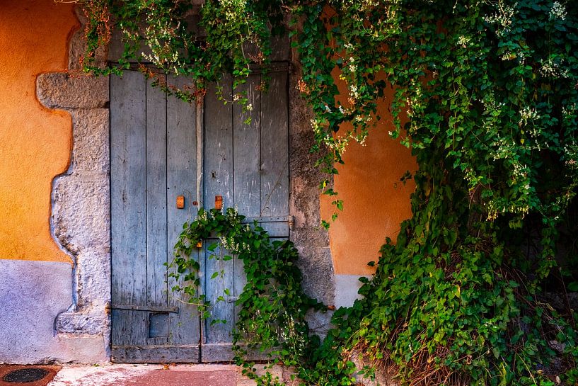 Overgrown, blue door | Provence by Flatfield