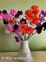 Merci pour les fleurs